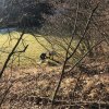 Verkehrsunfall